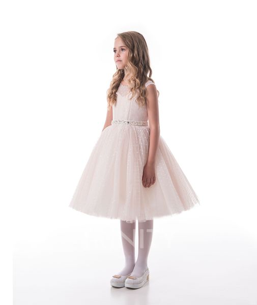 lovely ivory&champagne jewel tulle knee flower girl dresses girls' pageant dresses holidays/birthday dress/skirt custom size 2-14 df720, White;blue
lovely ivory&champagne jewel tulle knee flower girl dresses girls' pageant dresses holidays/birthday dress/skirt custom size 2-14 df720, White;blue
