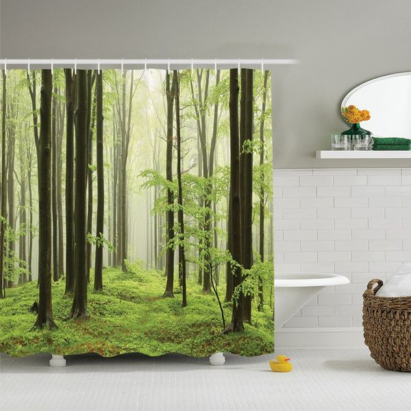 spring beech forest morning haze in the mountains of the southern polish picture, polyester fabric bathroom shower curtain
spring beech forest morning haze in the mountains of the southern polish picture, polyester fabric bathroom shower curtain