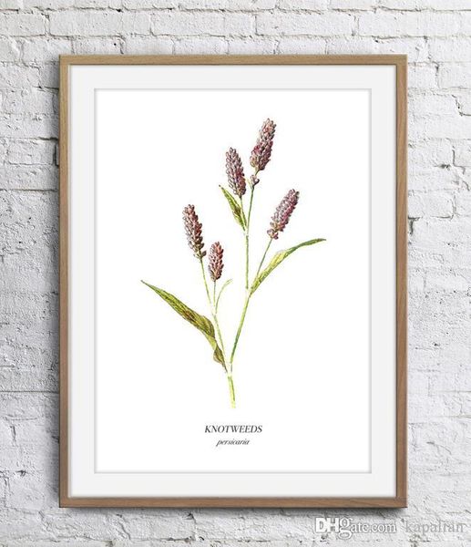 wild little flower plant wall decor pictures green leaf art print home decor poster unframe 16 24 36 47 inches
wild little flower plant wall decor pictures green leaf art print home decor poster unframe 16 24 36 47 inches