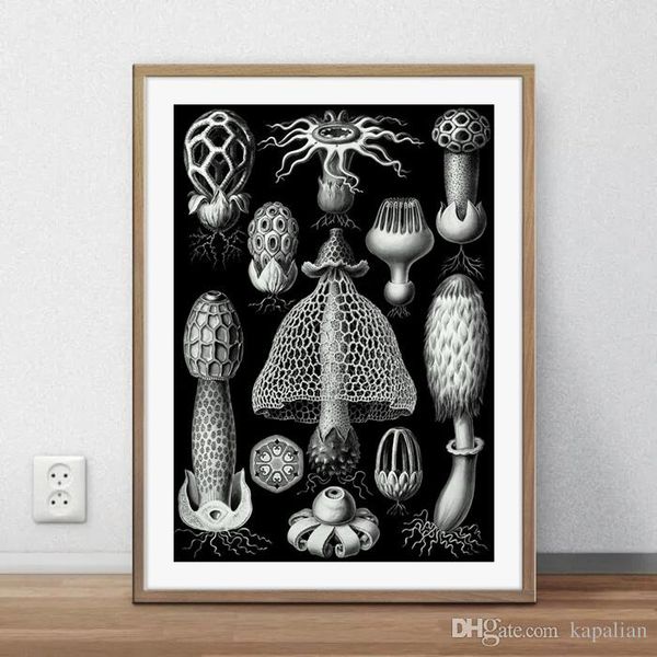 discovery diatoms black art плакат минимализм декор стены картины живопись home decor плакат холст unframe 16 24 36 47 дюймов
discovery diatoms black art плакат минимализм декор стены картины живопись home decor плакат холст unframe 16 24 36 47 дюймов