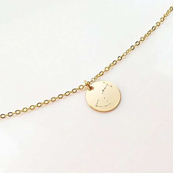 12pcs gold/silver round coin 12 constellation necklace zodiac chain necklace jewelry accessory gift for friend
12pcs gold/silver round coin 12 constellation necklace zodiac chain necklace jewelry accessory gift for friend