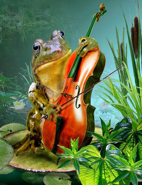 a2362 frog 20*26 5d diy diamond embroidery painting home decor diamond crossing stitch 100% resin tool dril painting mosaic needlework
a2362 frog 20*26 5d diy diamond embroidery painting home decor diamond crossing stitch 100% resin tool dril painting mosaic needlework