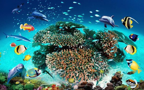 wallpaper 3d mural for living room underwater world 3d stereo ultra hd tv background wall decoration painting personality wall mural wallp
wallpaper 3d mural for living room underwater world 3d stereo ultra hd tv background wall decoration painting personality wall mural wallp