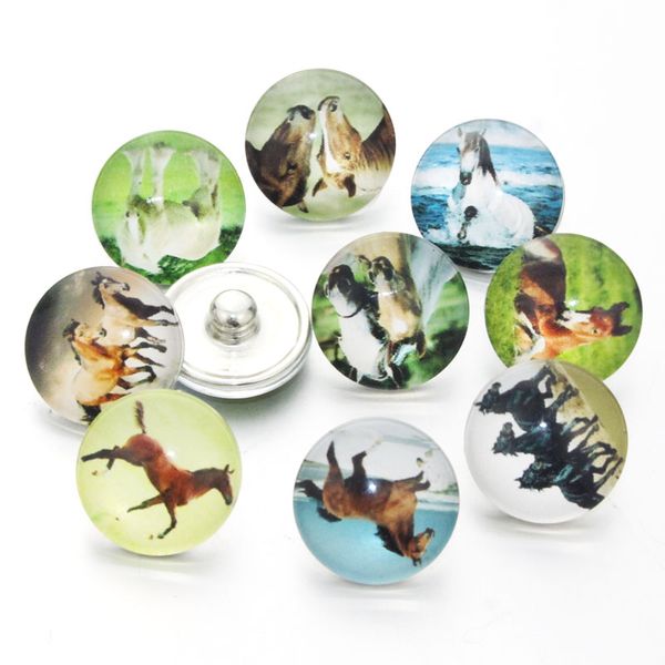 10pcs/lot mixed horse pattern glass 18mm snap buttons for snap diy making bracleets bangles diy gift fixed mixed 7250, Golden;silver
10pcs/lot mixed horse pattern glass 18mm snap buttons for snap diy making bracleets bangles diy gift fixed mixed 7250, Golden;silver