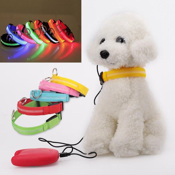 cute led dog glowing collar usb rechargeable noctilucent pet belt night safety flashing glow pet leashes dogs accessory traction
cute led dog glowing collar usb rechargeable noctilucent pet belt night safety flashing glow pet leashes dogs accessory traction