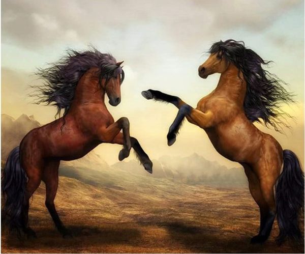 Full Square/Round Drill 5D DIY Diamond Painting "Horse" Embroidery Cross Stitch Mosaic Home Decor Art Experience toys Gift A0293
Full Square/Round Drill 5D DIY Diamond Painting "Horse" Embroidery Cross Stitch Mosaic Home Decor Art Experience toys Gift A0293
