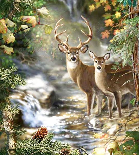 a1286 deer 45*50cm 5d diamond embroidery paint home decor diamond cross stitch 100% resin tool dril painting cross stitch mosaic needlework
a1286 deer 45*50cm 5d diamond embroidery paint home decor diamond cross stitch 100% resin tool dril painting cross stitch mosaic needlework