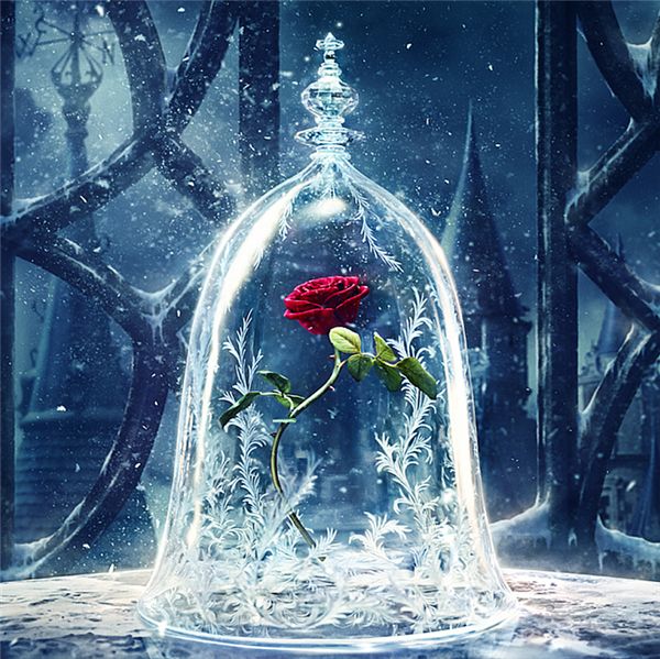 diy diamond painting cross stitch kit rhinestone full round diamond embroidery flower red rose home mosaic decoration yx4036
diy diamond painting cross stitch kit rhinestone full round diamond embroidery flower red rose home mosaic decoration yx4036