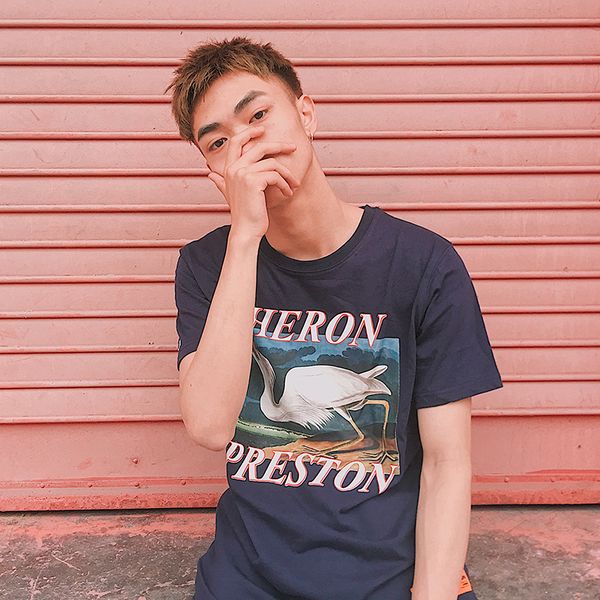 New Hot High Streetwear HERON Preston Male T-shirt White Egret Oil Painting Short Sleeves Cerw Neck T-shirt 
New Hot High Streetwear HERON Preston Male T-shirt White Egret Oil Painting Short Sleeves Cerw Neck T-shirt
