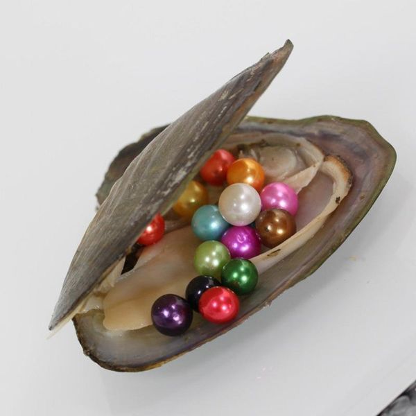 2018 diy new 6-7mm round oyster pearl 25 mix color freshwater natural pearl gift diy loose decorations vacuum packaging a-p001, White
2018 diy new 6-7mm round oyster pearl 25 mix color freshwater natural pearl gift diy loose decorations vacuum packaging a-p001, White