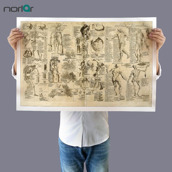 wall art picture canvas painting da vinci anatomy drawings retro poster print body map pictures for medical education no frame
wall art picture canvas painting da vinci anatomy drawings retro poster print body map pictures for medical education no frame