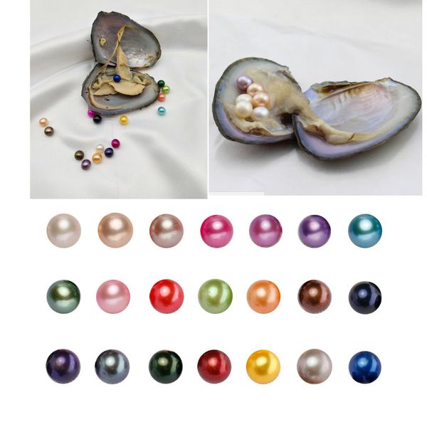 Pérola k2-accessories
Pérola k2-accessories