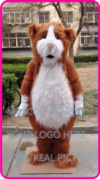 mascot plush hamsters mascot costume custom guinea pig fancy costume cavia porcellus mascotte cartoon fancy dress, Red;yellow
mascot plush hamsters mascot costume custom guinea pig fancy costume cavia porcellus mascotte cartoon fancy dress, Red;yellow