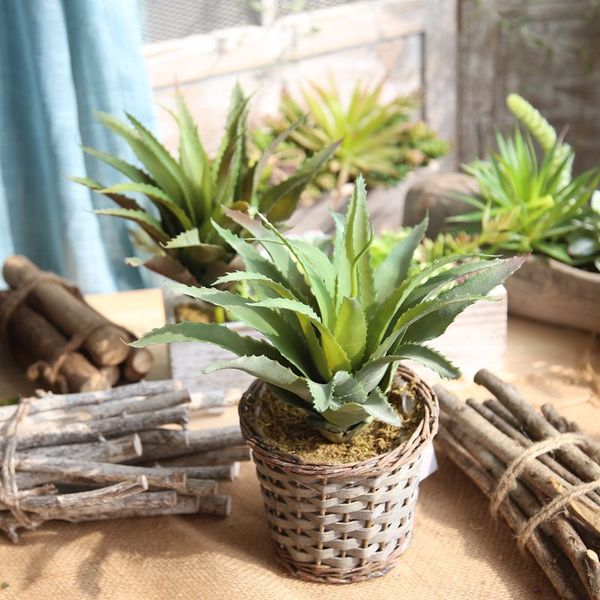 2pcs artificial aloe vera plants pe pineapple leaves for home wedding diy decoration fake flowers fleshiness cactus
2pcs artificial aloe vera plants pe pineapple leaves for home wedding diy decoration fake flowers fleshiness cactus