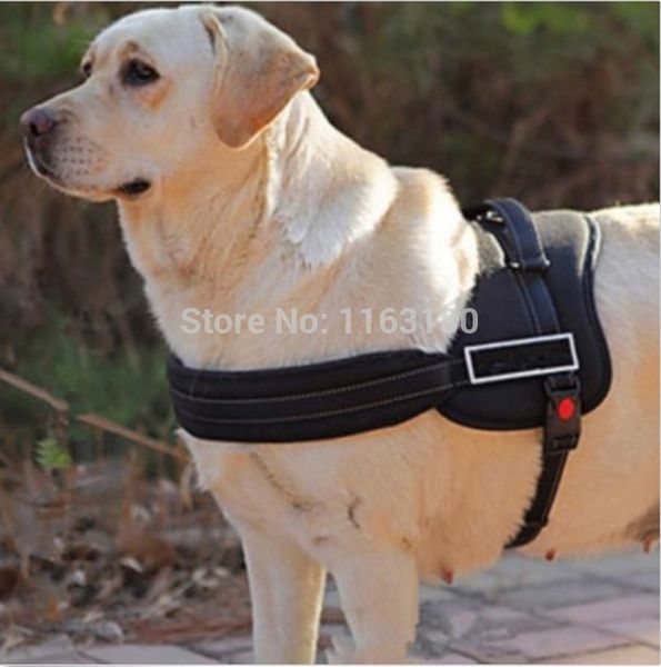 1pcs/lot control dog harness s m l xl xxl black camo red- support comfy pet training adjust ing
1pcs/lot control dog harness s m l xl xxl black camo red- support comfy pet training adjust ing