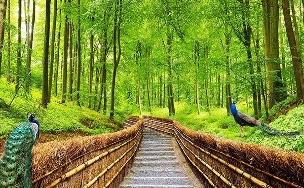p any size forest path landscape 3d tv background wall 3d murals wallpaper for living room
p any size forest path landscape 3d tv background wall 3d murals wallpaper for living room