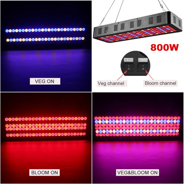 3535 сид растет свет 300w 600вт 800вт 1000вт спектр вег/блум панели переключателя лампы полного спектра крытый сад огней растения гидропоник
3535 сид растет свет 300w 600вт 800вт 1000вт спектр вег/блум панели переключателя лампы полного спектра крытый сад огней растения гидропоник