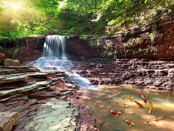 водонепроницаемый пвх обои красивый открытый водопад воды девять рыб 3d этаж трехмерной живописи
водонепроницаемый пвх обои красивый открытый водопад воды девять рыб 3d этаж трехмерной живописи