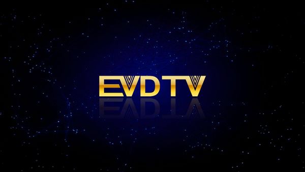 Evdtv hay iptv france iptv turkey arabic tv netherland 3300 channel vod epg working on mart tv android tv box mag250 254
Evdtv hay iptv france iptv turkey arabic tv netherland 3300 channel vod epg working on mart tv android tv box mag250 254