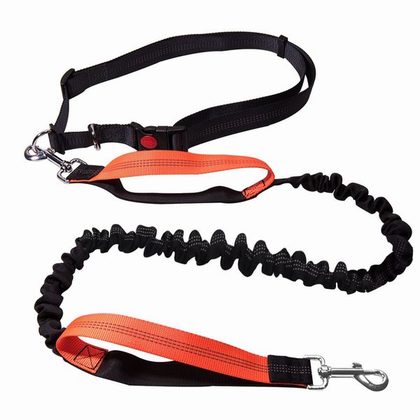 экологичная собака поводок бег эластичность руки произвольно pet products собака harness воротник беговой свинец и регулируемый талия rope
экологичная собака поводок бег эластичность руки произвольно pet products собака harness воротник беговой свинец и регулируемый талия rope