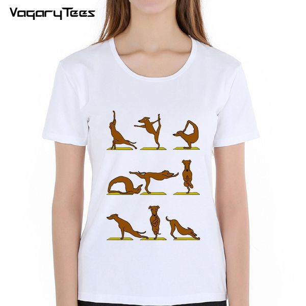greyhound exercise t shirt women tees femme brand dog kawaii basic ladies t-shirt woman elastic clothes, White
greyhound exercise t shirt women tees femme brand dog kawaii basic ladies t-shirt woman elastic clothes, White