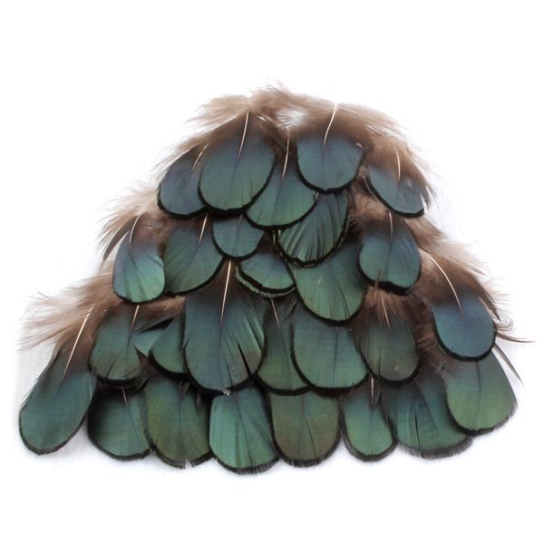 wholesale 10-100pcs beautiful pheasant tail copper chicken green feathers 4-10cm/2-4inches
wholesale 10-100pcs beautiful pheasant tail copper chicken green feathers 4-10cm/2-4inches