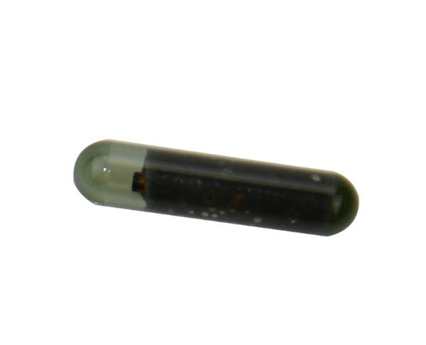 original car key chip can (a1) id48 transponder chip glass unlock id48 chip for vw key ing
original car key chip can (a1) id48 transponder chip glass unlock id48 chip for vw key ing
