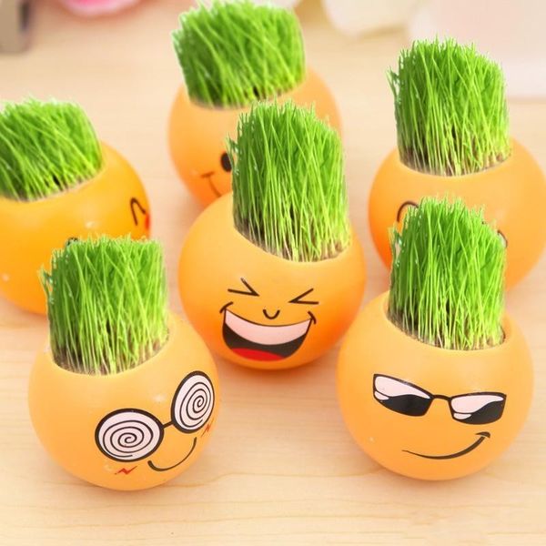 Round ucculent planter lovely yellow emoji decorative flower pot portable mini garden bon ai pot 2 56kl bb
Round ucculent planter lovely yellow emoji decorative flower pot portable mini garden bon ai pot 2 56kl bb
