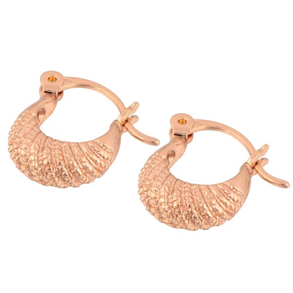 wholesale- gussiarro wholesale vintage rough rose gold-color hoop women earrings no nickel, Golden;silver
wholesale- gussiarro wholesale vintage rough rose gold-color hoop women earrings no nickel, Golden;silver