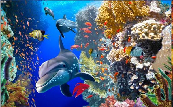 делин подводнй миѬ в он ен наенна Ѭопи оо обои
делин подводнй миѬ в он ен наенна Ѭопи оо обои