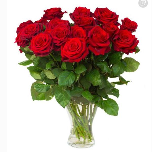 Beautiful red rose seed Bonsai plants flower Seeds for home & garden 100 particles/bag
Beautiful red rose seed Bonsai plants flower Seeds for home & garden 100 particles/bag