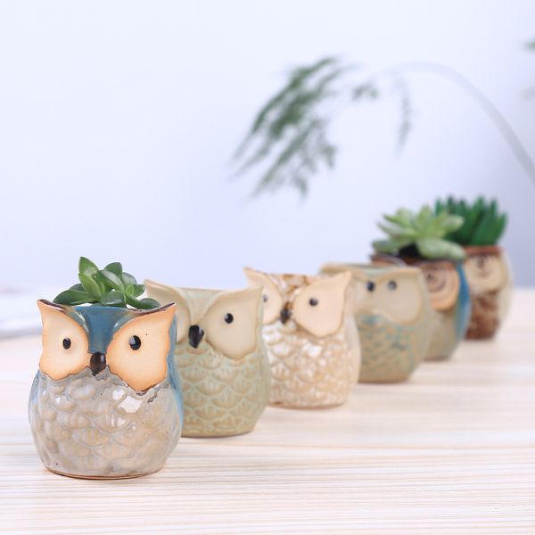 creative ceramic owl shape flower pots for fleshy succulent plant animal style planter home garden office decoration ceramic crafts
creative ceramic owl shape flower pots for fleshy succulent plant animal style planter home garden office decoration ceramic crafts