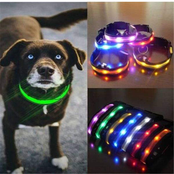 wholesales led nylon dog pet security night necklace anti-lost flashing glitter collars dog
wholesales led nylon dog pet security night necklace anti-lost flashing glitter collars dog