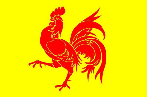 belgium flag of wallonia 3ft x 5ft polyester banner flying 150* 90cm custom flag outdoor
belgium flag of wallonia 3ft x 5ft polyester banner flying 150* 90cm custom flag outdoor