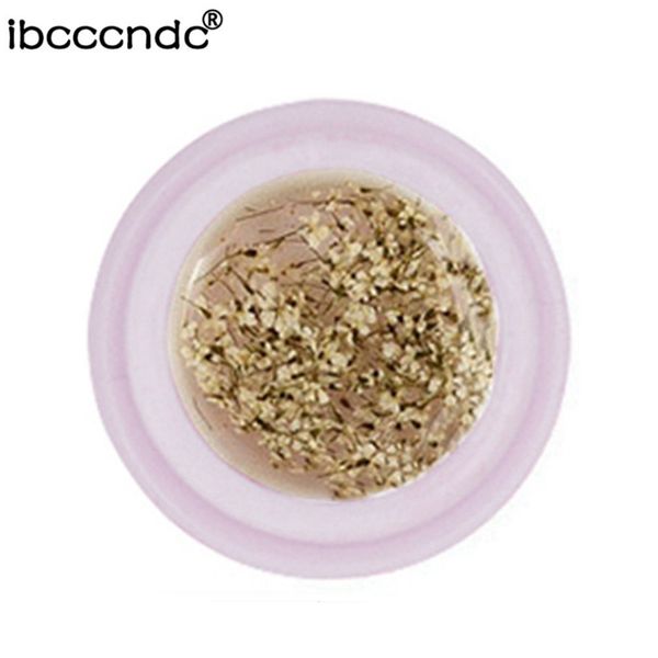 ibcccndc natural dried flowers nail gel long lasting gel soak-off led uv lacquer varnishes manicure nail art tools 5ml sale