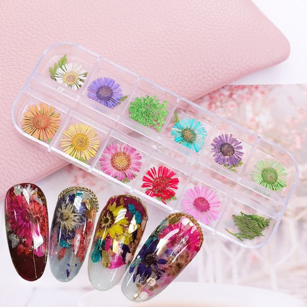 12 grids dry dried flower 3d nail decoration charming colorful real flowers decals manicure nails accessoires diy tools tr677, Silver;gold
12 grids dry dried flower 3d nail decoration charming colorful real flowers decals manicure nails accessoires diy tools tr677, Silver;gold