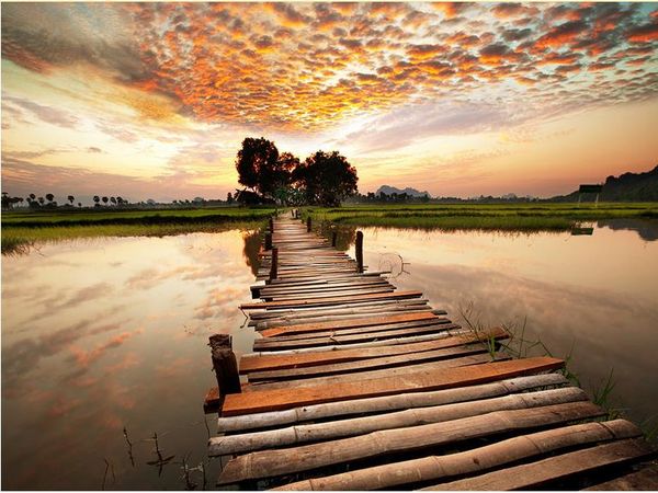 vinyl flooring bathroom aesthetic outdoor wooden bridge floating landscape 3d floor three-dimensional painting
vinyl flooring bathroom aesthetic outdoor wooden bridge floating landscape 3d floor three-dimensional painting