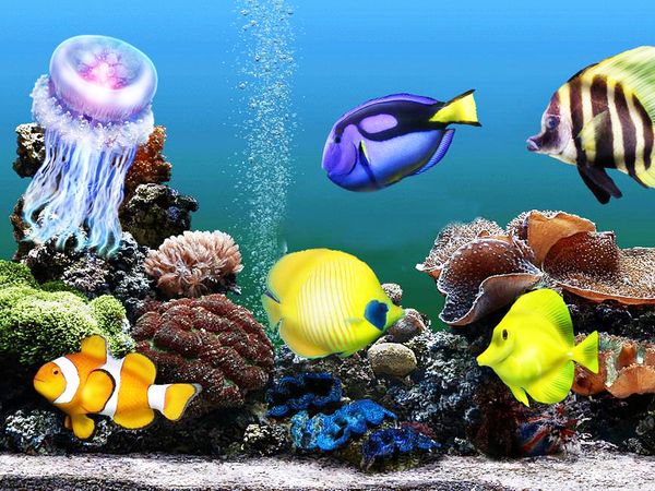 a1256 aquarium 40*30 diy diamond embroidery painting home decor diamond crossing stitch 100% resin tool dril painting mosaic needlework
a1256 aquarium 40*30 diy diamond embroidery painting home decor diamond crossing stitch 100% resin tool dril painting mosaic needlework