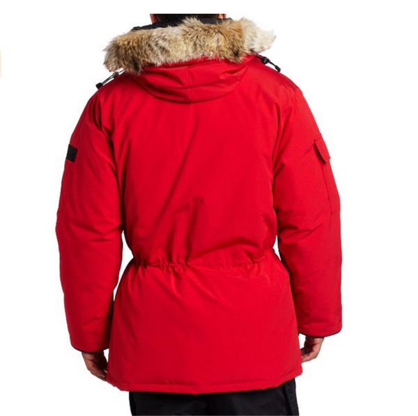 Down e Parkas ld888777
Down e Parkas ld888777