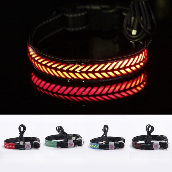 new pet dog cat collars embossed leather collar nylon pad led rechargeable adjustable popular pet puppy collars
new pet dog cat collars embossed leather collar nylon pad led rechargeable adjustable popular pet puppy collars
