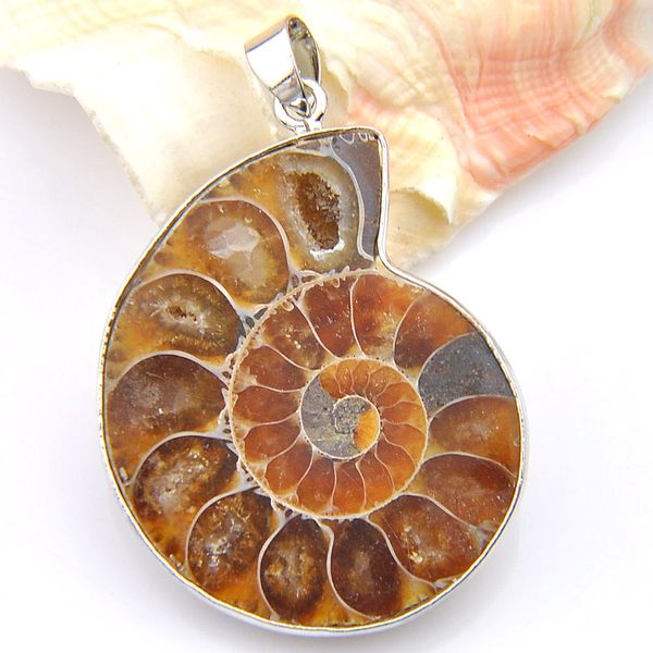 luckyshine handmade natural ammonite fossil pendants silver classic fashion accessories for women men pendant necklace jewelry
luckyshine handmade natural ammonite fossil pendants silver classic fashion accessories for women men pendant necklace jewelry