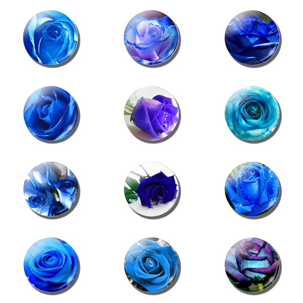 12pcs bluelover 25 mm fridge magnet blue enchantress lover romantic gifts glass note holder magnetic refrigerator stickers decor
12pcs bluelover 25 mm fridge magnet blue enchantress lover romantic gifts glass note holder magnetic refrigerator stickers decor