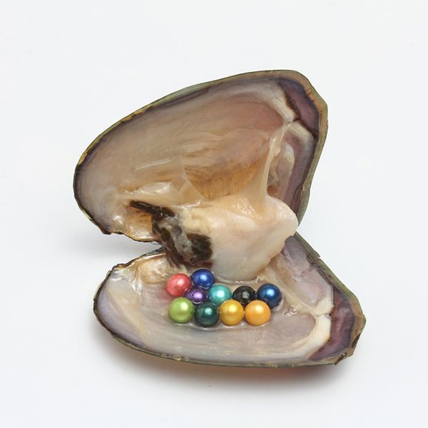 round oyster pearl 6-7mm 2018 new 27 mix color 10pcs pearl oyster gift diy natural pearl loose beads decorations vacuum packaging wholesale, White
round oyster pearl 6-7mm 2018 new 27 mix color 10pcs pearl oyster gift diy natural pearl loose beads decorations vacuum packaging wholesale, White