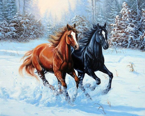 a1402 twohorses 50*40 алмаз вышивка home decor алмаз вышивка крестом 100% смолы инструмент dril живопись вышивки крестом мозаика рукоделие
a1402 twohorses 50*40 алмаз вышивка home decor алмаз вышивка крестом 100% смолы инструмент dril живопись вышивки крестом мозаика рукоделие