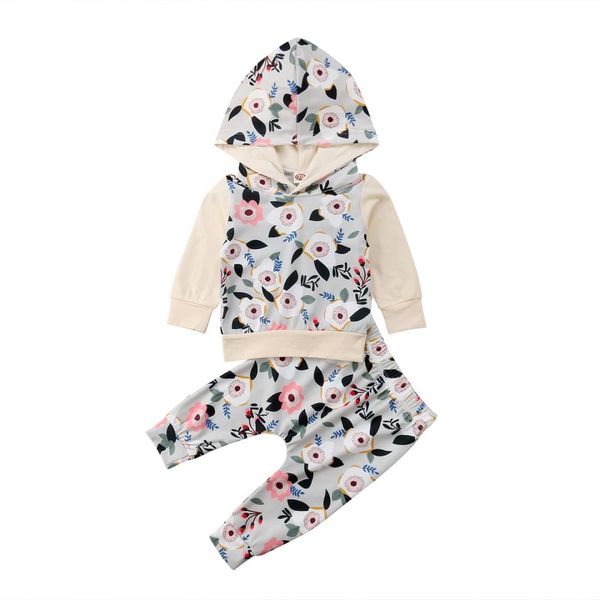 2018 new fashion infant baby girl floral long sleeve hooded flowers print long pants 2pcs casual outfit cotton clothes 0-3t, White
2018 new fashion infant baby girl floral long sleeve hooded flowers print long pants 2pcs casual outfit cotton clothes 0-3t, White