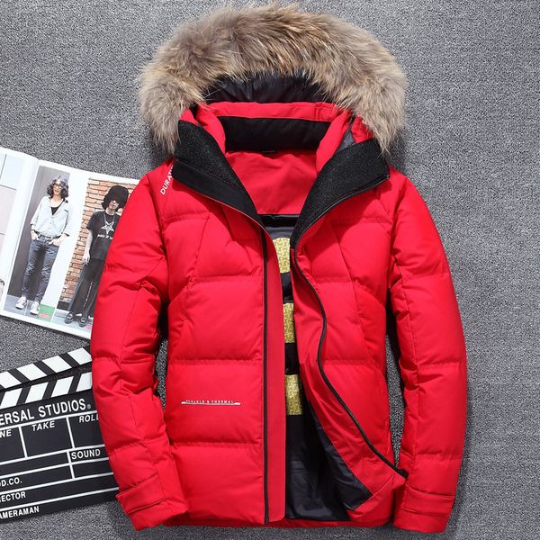 winter new outdoor men's down jacket thick warm white duck down jacket large fur collar hooded men's sports
winter new outdoor men's down jacket thick warm white duck down jacket large fur collar hooded men's sports