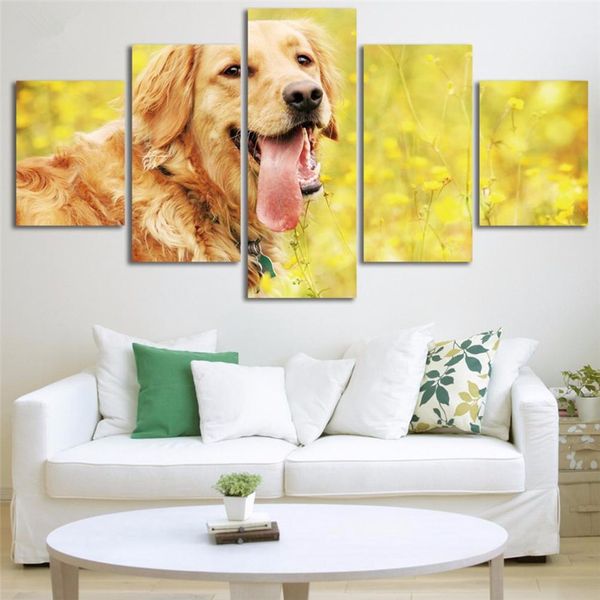 canvas paintings home decor 5 pieces cute golden retriever posters hd prints animal dog pictures living room wall art framework
canvas paintings home decor 5 pieces cute golden retriever posters hd prints animal dog pictures living room wall art framework