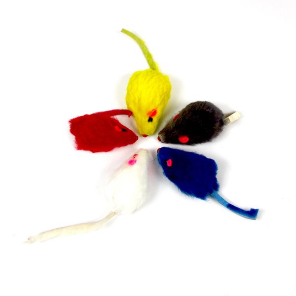 rabbit hair funny false mouse rat toys plush mini mouse cat toy real rabbit fur gravel sounds cute toy
rabbit hair funny false mouse rat toys plush mini mouse cat toy real rabbit fur gravel sounds cute toy
