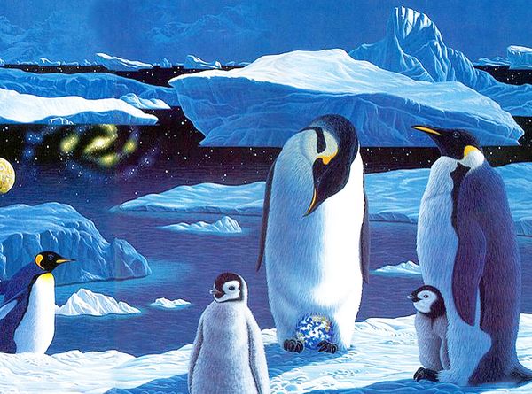 a2191 пингвин 27 * 20 5d diy алмазная вышивка живопись home decor алмаз вышивка крестом 100% смола инструмент dril живопись мозаика рукодели
a2191 пингвин 27 * 20 5d diy алмазная вышивка живопись home decor алмаз вышивка крестом 100% смола инструмент dril живопись мозаика рукодели