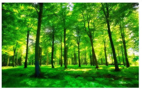 3d wallpaper mural decor p backdrop beautiful green light forest living room tv background wall decoration painting tv background 3d mu
3d wallpaper mural decor p backdrop beautiful green light forest living room tv background wall decoration painting tv background 3d mu